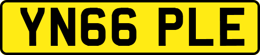 YN66PLE