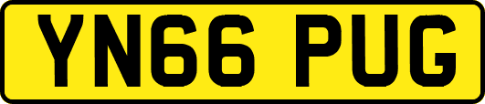 YN66PUG