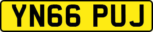 YN66PUJ