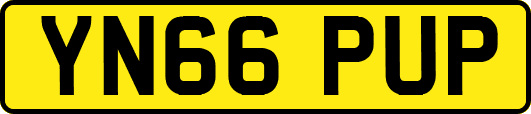 YN66PUP