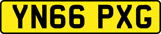 YN66PXG