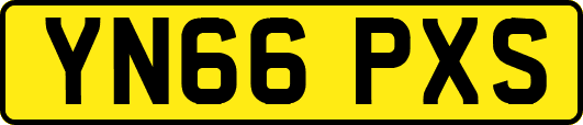 YN66PXS