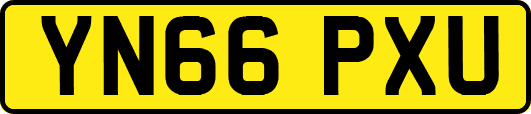 YN66PXU