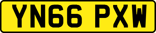 YN66PXW