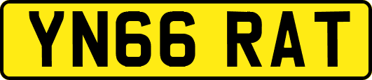 YN66RAT