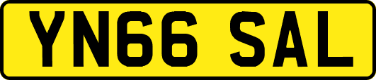 YN66SAL