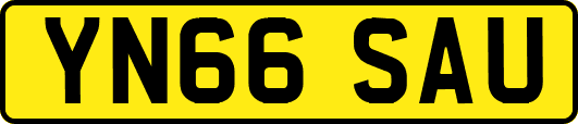 YN66SAU