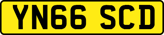 YN66SCD
