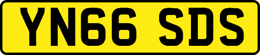 YN66SDS