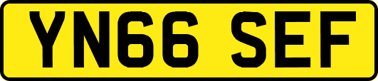 YN66SEF