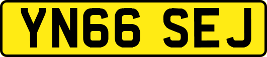 YN66SEJ