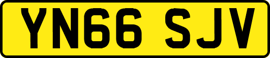 YN66SJV