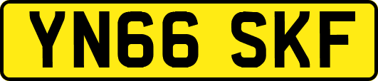 YN66SKF