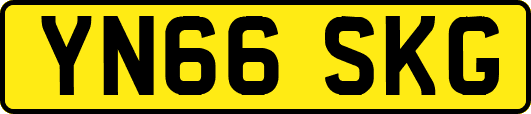 YN66SKG