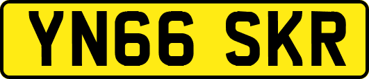 YN66SKR