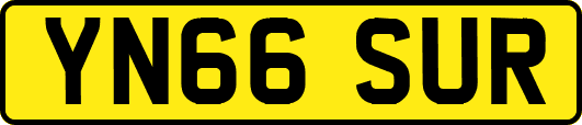 YN66SUR