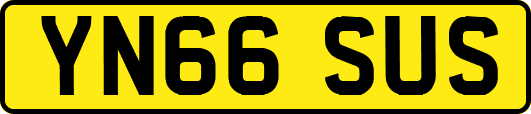 YN66SUS