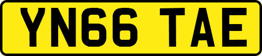 YN66TAE