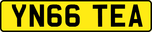 YN66TEA