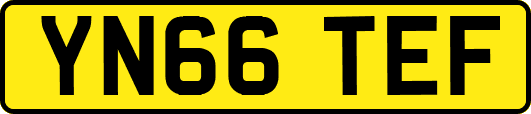 YN66TEF