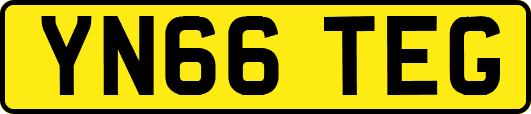 YN66TEG
