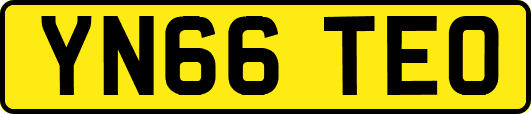 YN66TEO