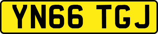 YN66TGJ