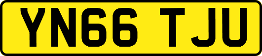 YN66TJU