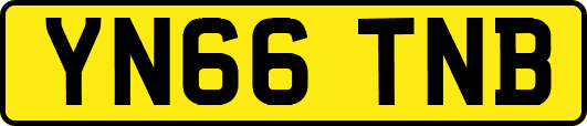 YN66TNB