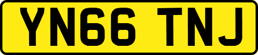 YN66TNJ