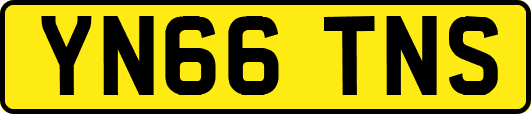 YN66TNS