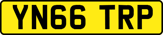 YN66TRP