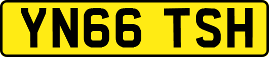 YN66TSH