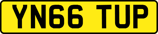 YN66TUP