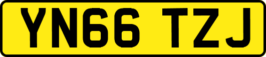 YN66TZJ