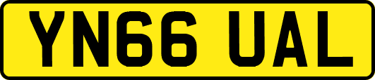 YN66UAL