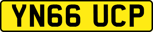 YN66UCP