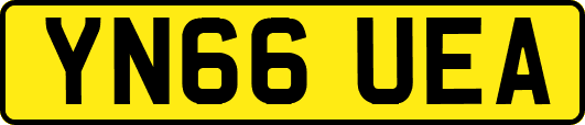 YN66UEA