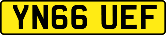 YN66UEF