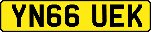 YN66UEK