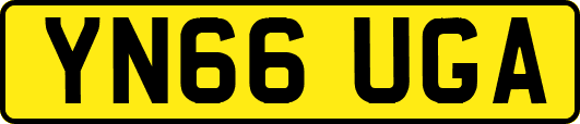 YN66UGA