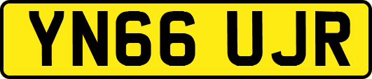 YN66UJR