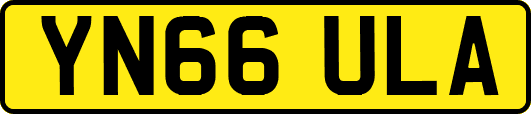 YN66ULA
