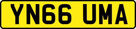 YN66UMA