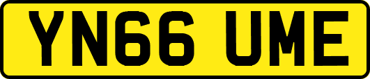 YN66UME
