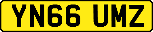YN66UMZ