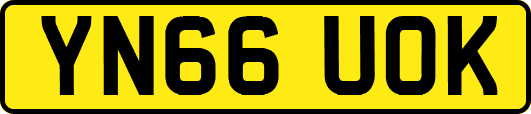 YN66UOK