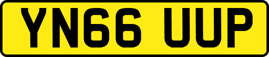 YN66UUP