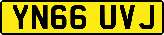 YN66UVJ