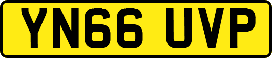YN66UVP